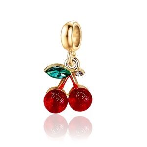 🍒Cherries Bracelet Charm🍒